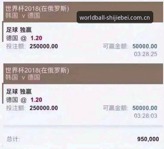 世界杯买球入口 世界杯买球平台2026全面评测:从APP下载到投注体验的真实反馈