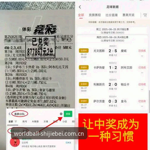 世界杯买球APP下载iOS版深度分析：新手如何快速上手？从注册到投注的全面解析